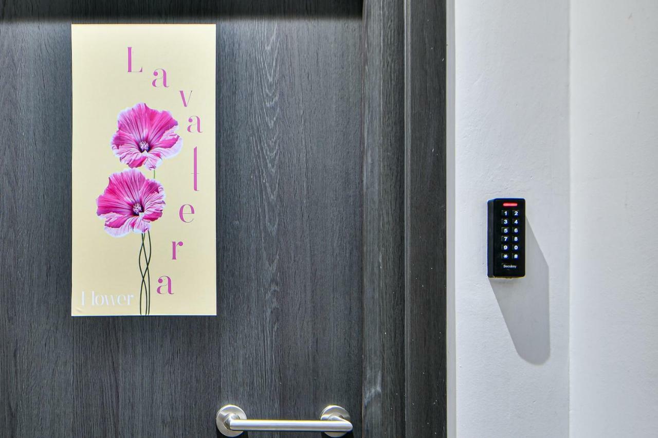 Flowers Of Athens, Boutique Aparthotel With 6-Apartments In Central Aten Exteriör bild
