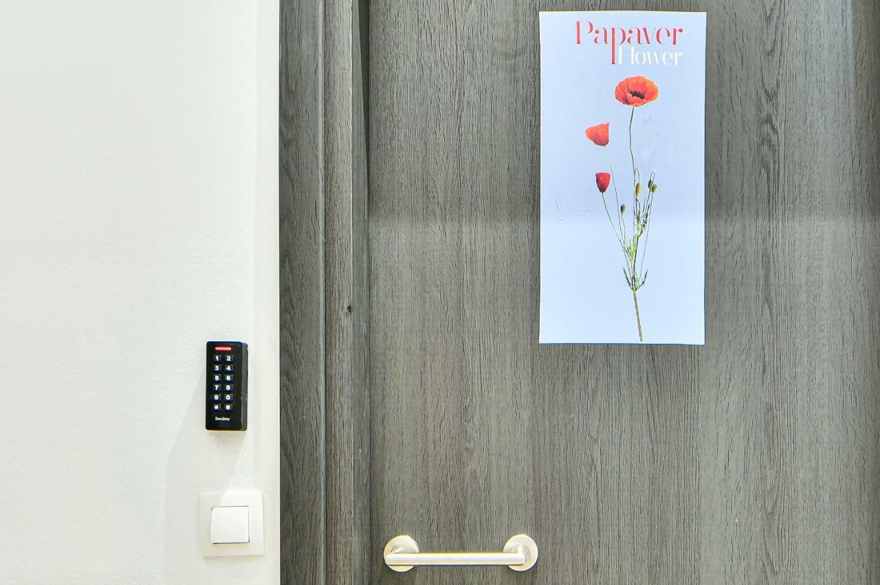Flowers Of Athens, Boutique Aparthotel With 6-Apartments In Central Aten Exteriör bild